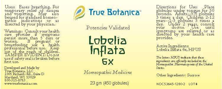 Lobelia Inflata